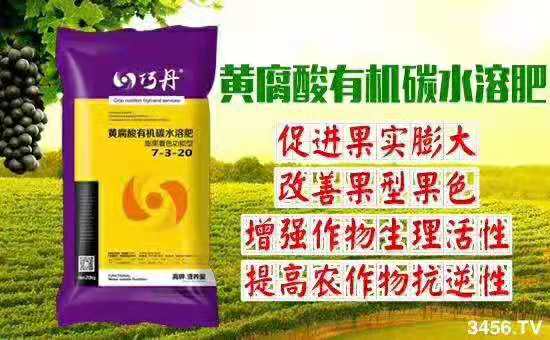 微信圖片_20190919205639.jpg