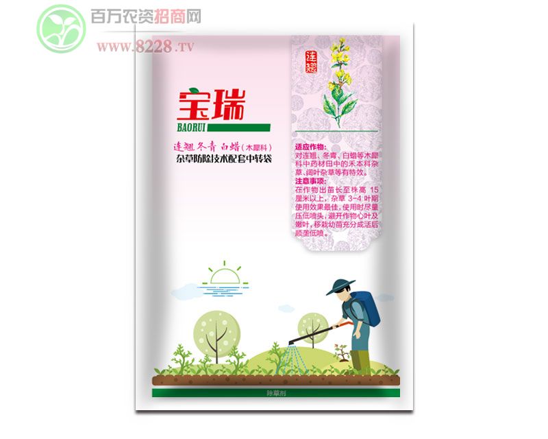 連翹、冬青、白蠟?zāi)鞠浦兴幉某輨?/