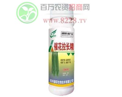 ߻L(zhng)Ǫ(d)30ml
