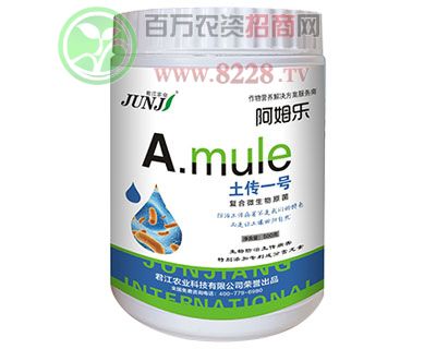 һ̖(ho)-500g
